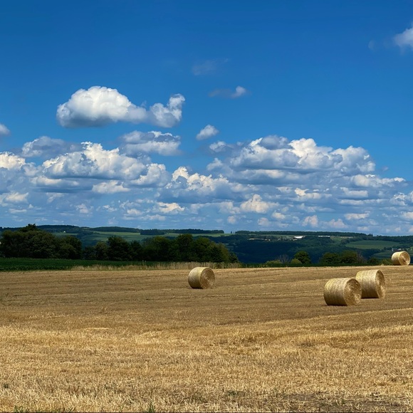 Meet your Posher, Maureen - Picture 3 of 3
